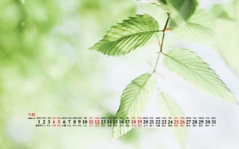 清新桌面图片 _ 第(9)张