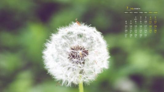 图片 _ 第(4)张