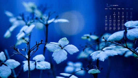唯美清新绿色植物花卉高清摄影素材图片欣赏第6张