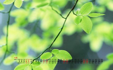 图片 _ 第(5)张