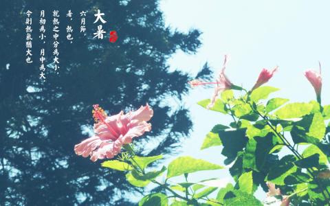 油爆叽丁2017光棍节搞笑文字高清宽屏桌面壁纸第1张