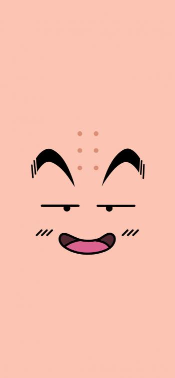 海贼王动漫人物漫画创意桌面壁纸第6张