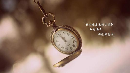 第3张