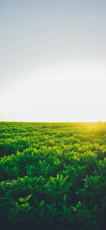 美丽风景图片 _ 第(18)张