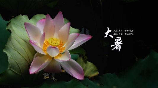 万圣节图片 _ 第(1)张