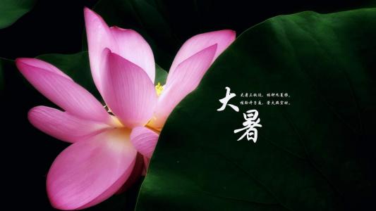 万圣节图片 _ 第(4)张
