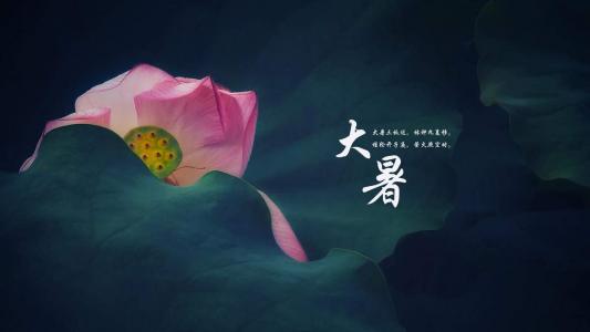 万圣节图片 _ 第(7)张