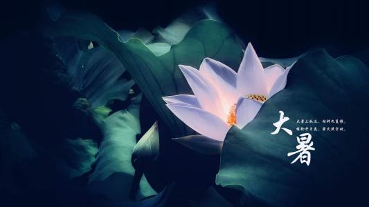 万圣节图片 _ 第(8)张