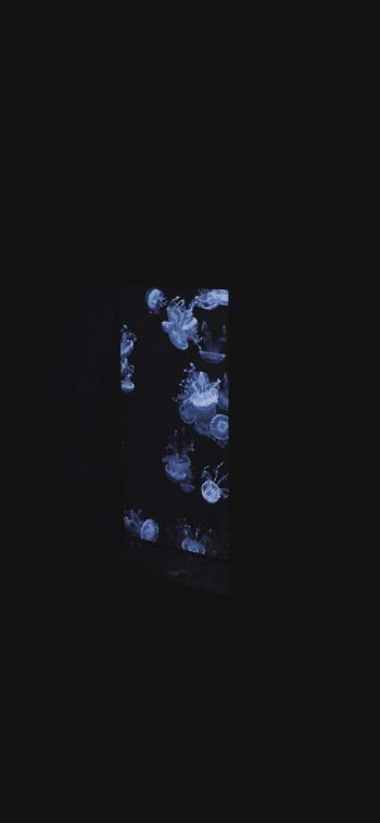 第2张