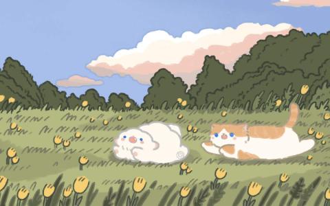 护眼桌面壁纸图片 _ 第(8)张