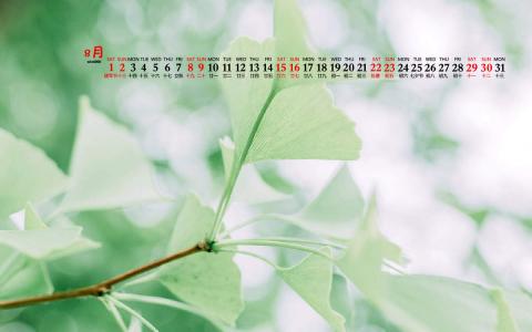 护眼桌面壁纸图片 _ 第(6)张