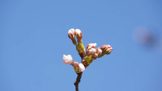 第0张