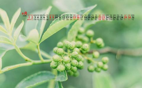 护眼桌面壁纸图片 _ 第(2)张