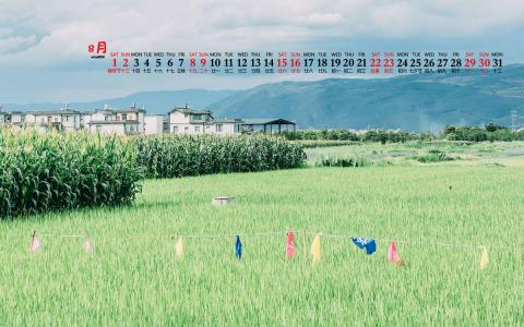护眼桌面壁纸图片 _ 第(6)张