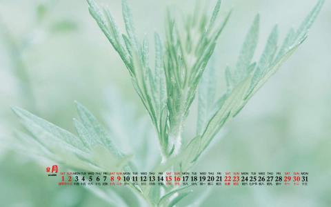 图片 _ 第(4)张
