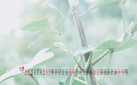 图片 _ 第(7)张