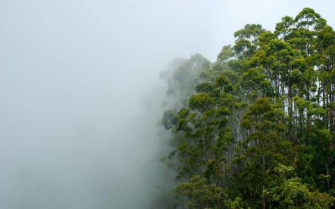 大自然唯美风景图片手机壁纸第5张
