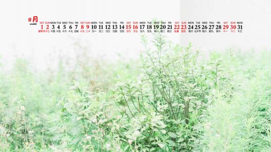 杨祐宁唯美意境写真图片第1张