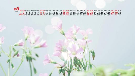 杨祐宁唯美意境写真图片第4张