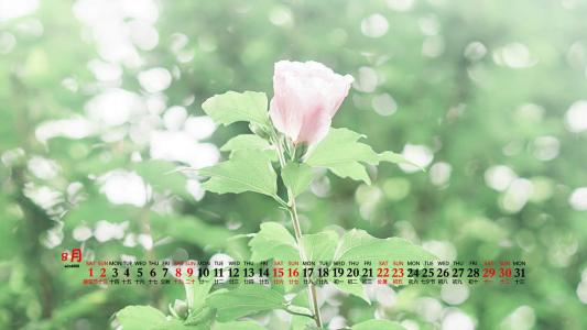 杨祐宁唯美意境写真图片第6张