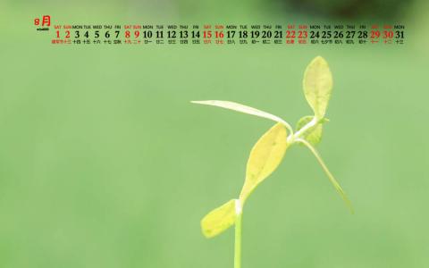 绿色植物图片 _ 第(8)张