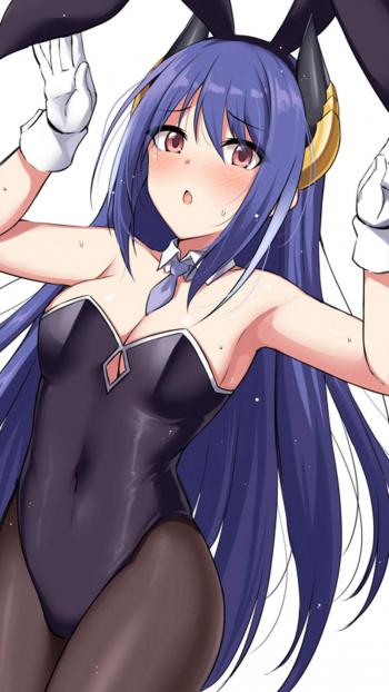 第3张