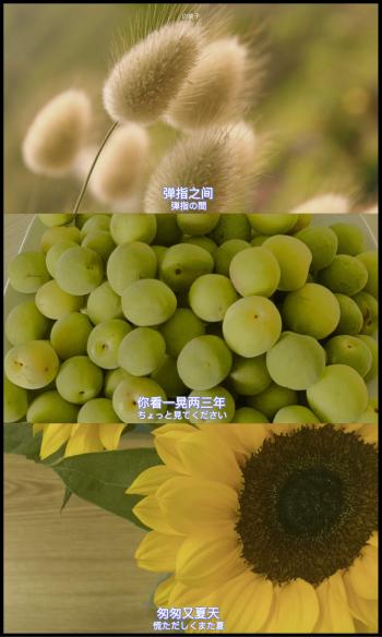 第0张