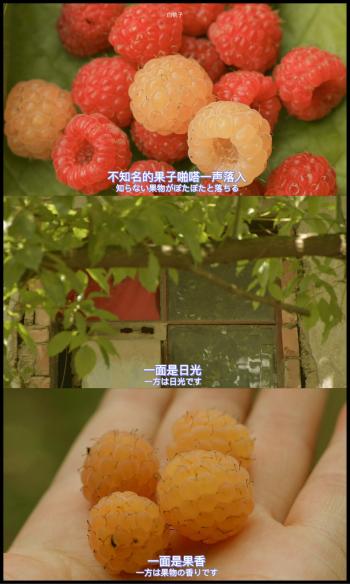 第2张