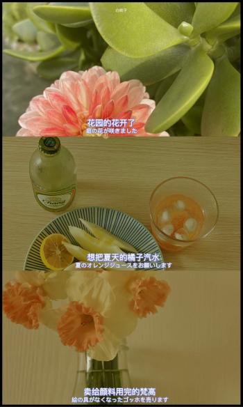 唯美伤感励志的文字图片手机壁纸下载第4张