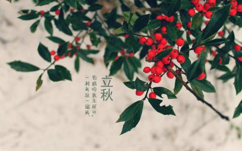 24节气唯美风光图片桌面壁纸第4张