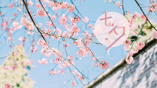 情人节图片 _ 第(4)张