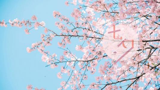 情人节图片 _ 第(7)张