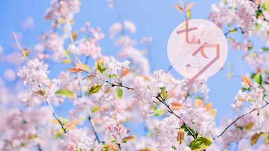 情人节图片 _ 第(8)张