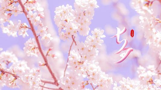 情人节图片 _ 第(1)张