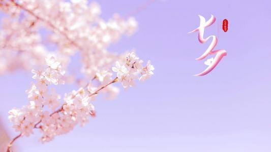 情人节图片 _ 第(2)张