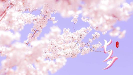 情人节图片 _ 第(4)张