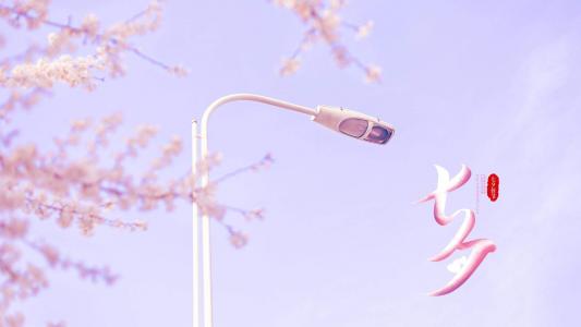 情人节图片 _ 第(5)张