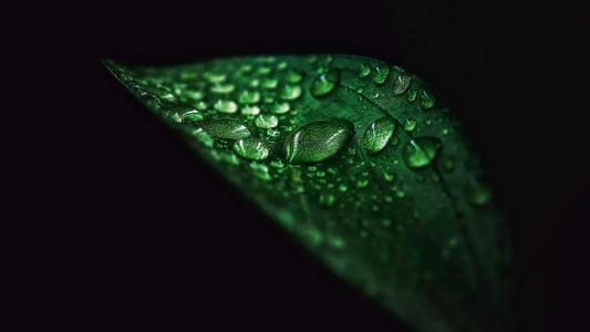 水滴图片 _ 第(8)张