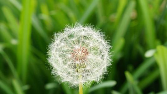 护眼桌面壁纸图片 _ 第(6)张