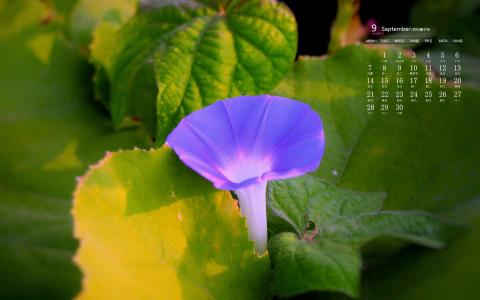 图片 _ 第(2)张