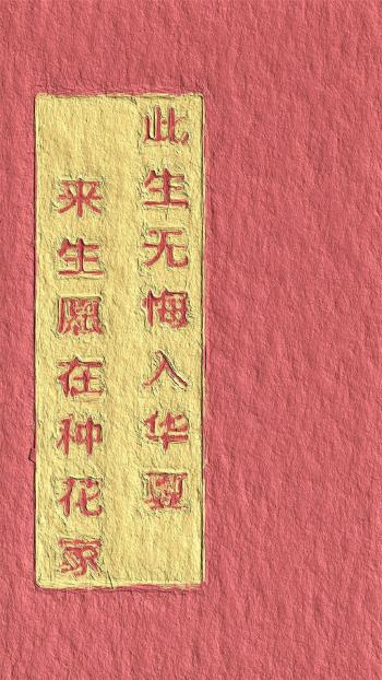 第0张
