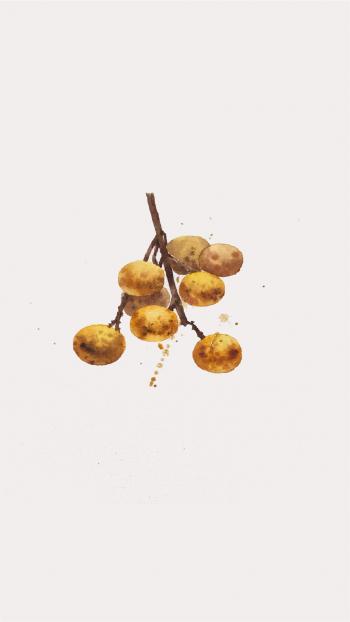 图片 _ 第(4)张