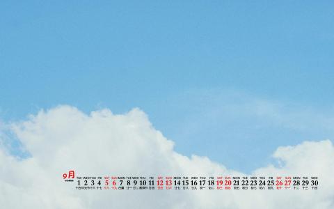 小清新绿色护眼手机壁纸第2张