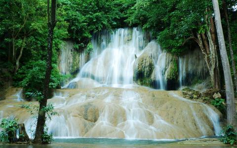 上海秋天风景 秋天落叶唯美风景图片第0张
