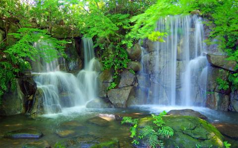 上海秋天风景 秋天落叶唯美风景图片第4张