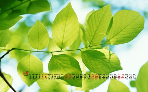 清新桌面图片 _ 第(7)张