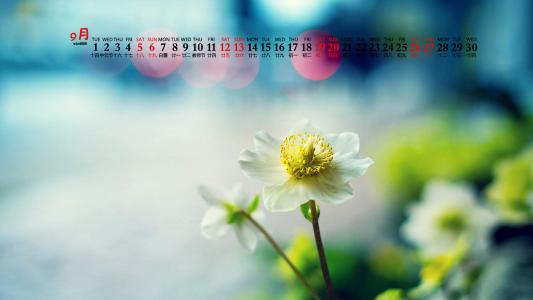 第3张