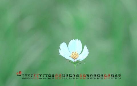 图片 _ 第(1)张