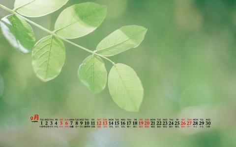 图片 _ 第(5)张