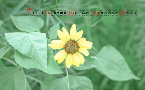 图片 _ 第(8)张